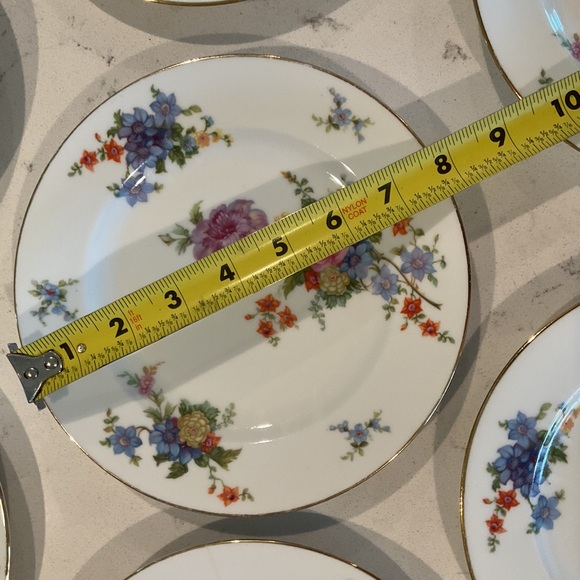 Epiag Czechoslovakia  7 Dessert Plates Beautiful Florals on white 7-3/4” wide - Picture 2 of 7